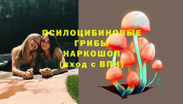 скорость Бородино