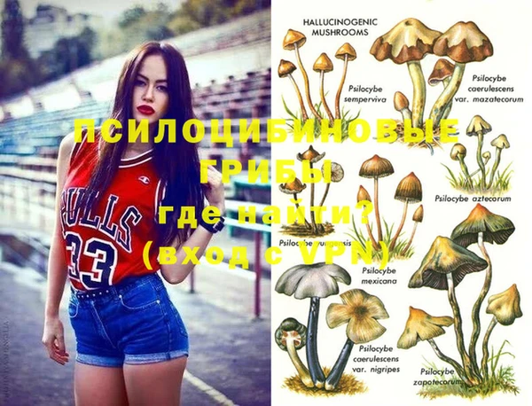 скорость Бородино