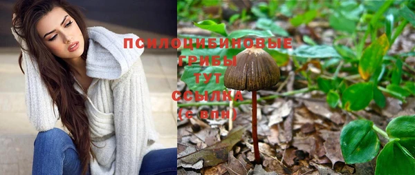 скорость Бородино