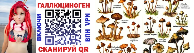 Псилоцибиновые грибы мухоморы  Заволжск 