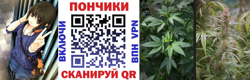Канабис план купить наркотик Заволжск